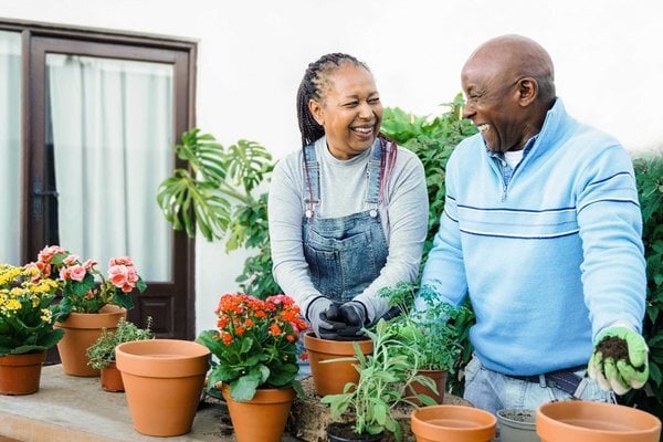 Creating Your Perfect Sanctuary: Senior Apartment Living at Lake Ridge